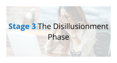 The Rollercoaster Ride A New Teachers First Year The Disillusionment Phase