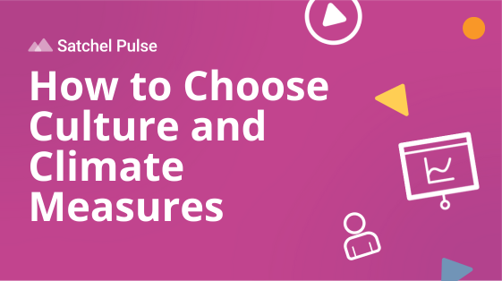 How to Choose Culture and Climate Measures