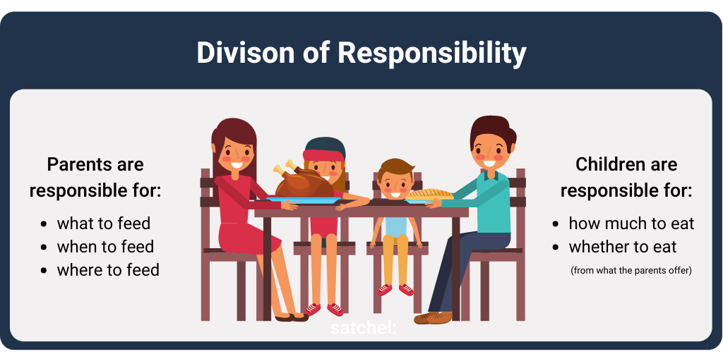 Satters Division of Responsibility 